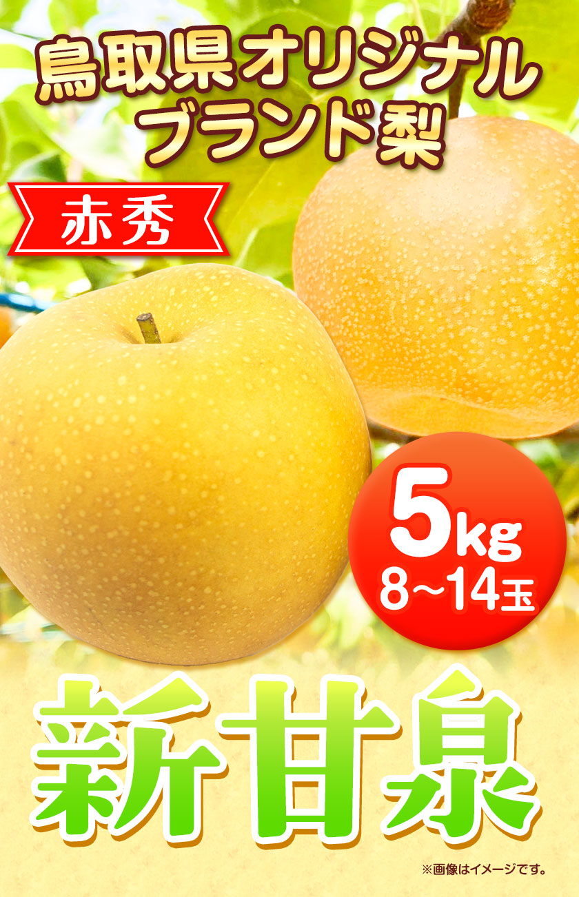 新甘泉 赤秀 2