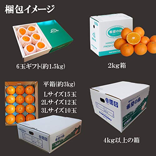 サマー清見 4