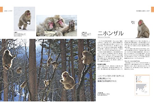 驚くべき世界の野生動物生態図鑑 9