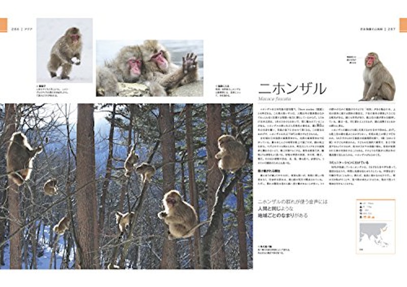 驚くべき世界の野生動物生態図鑑 9