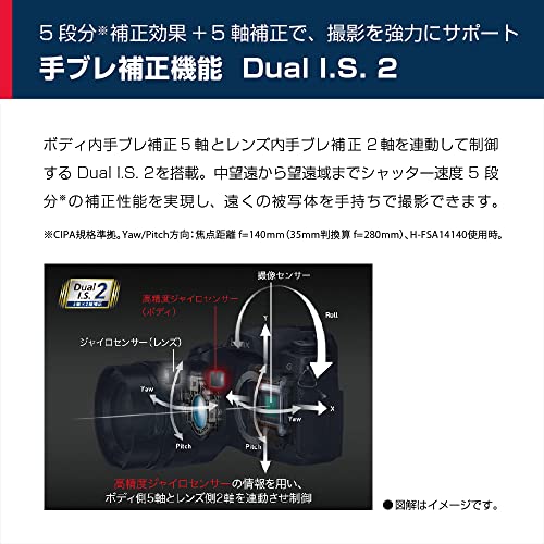 LUMIX G99D ボディ 3