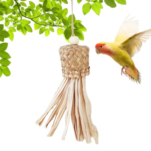 鳥のブランコ噛むおもちゃ 1