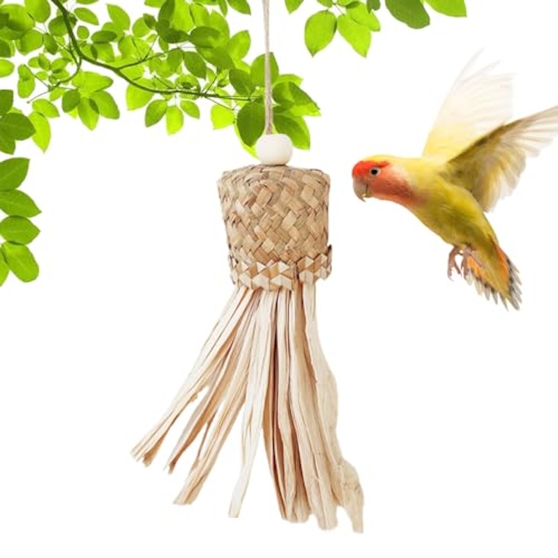 鳥のブランコ噛むおもちゃ 1