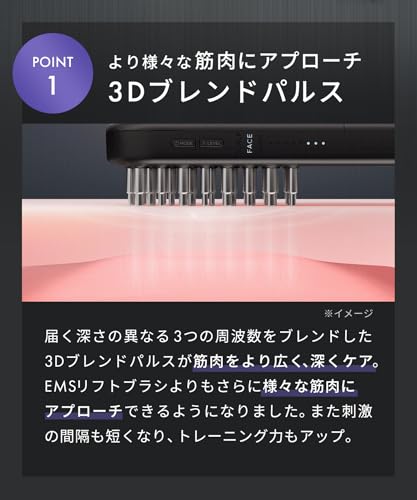 リフトブラシ 6