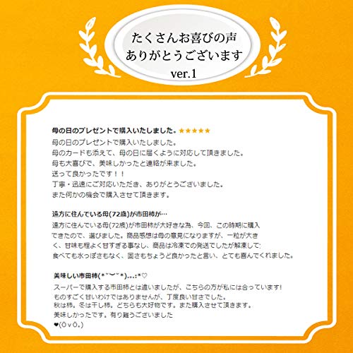 市田柿 7
