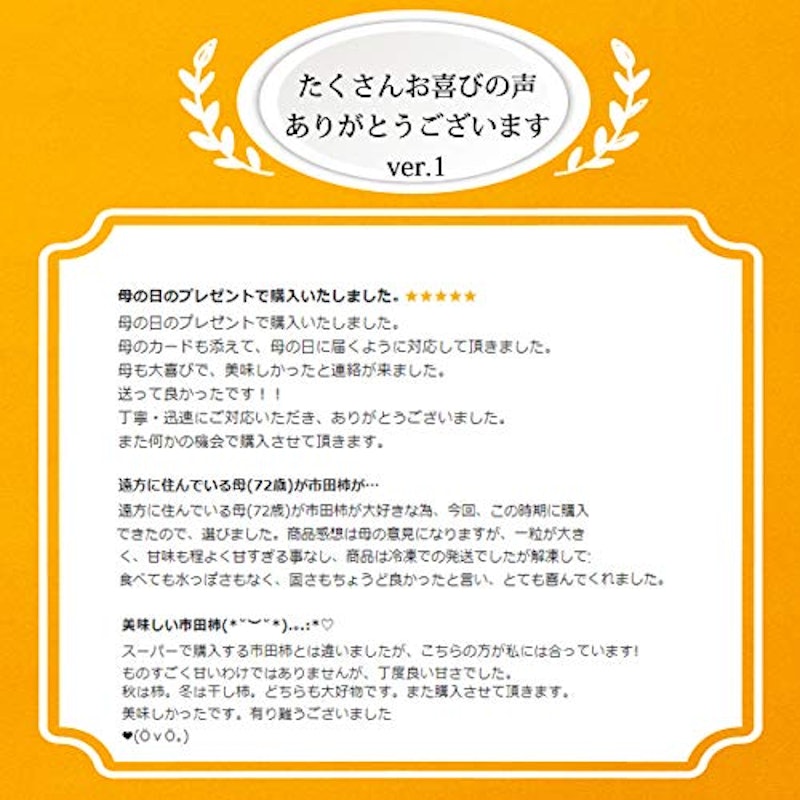 市田柿 7