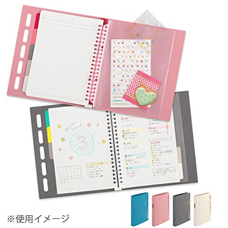 クラルテ プラスチックバインダー 3