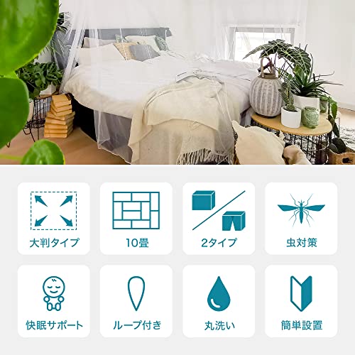 蚊帳  2