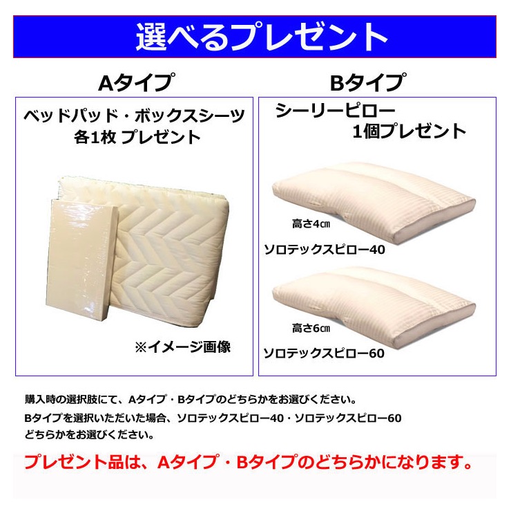クラリスⅢ Plush 5