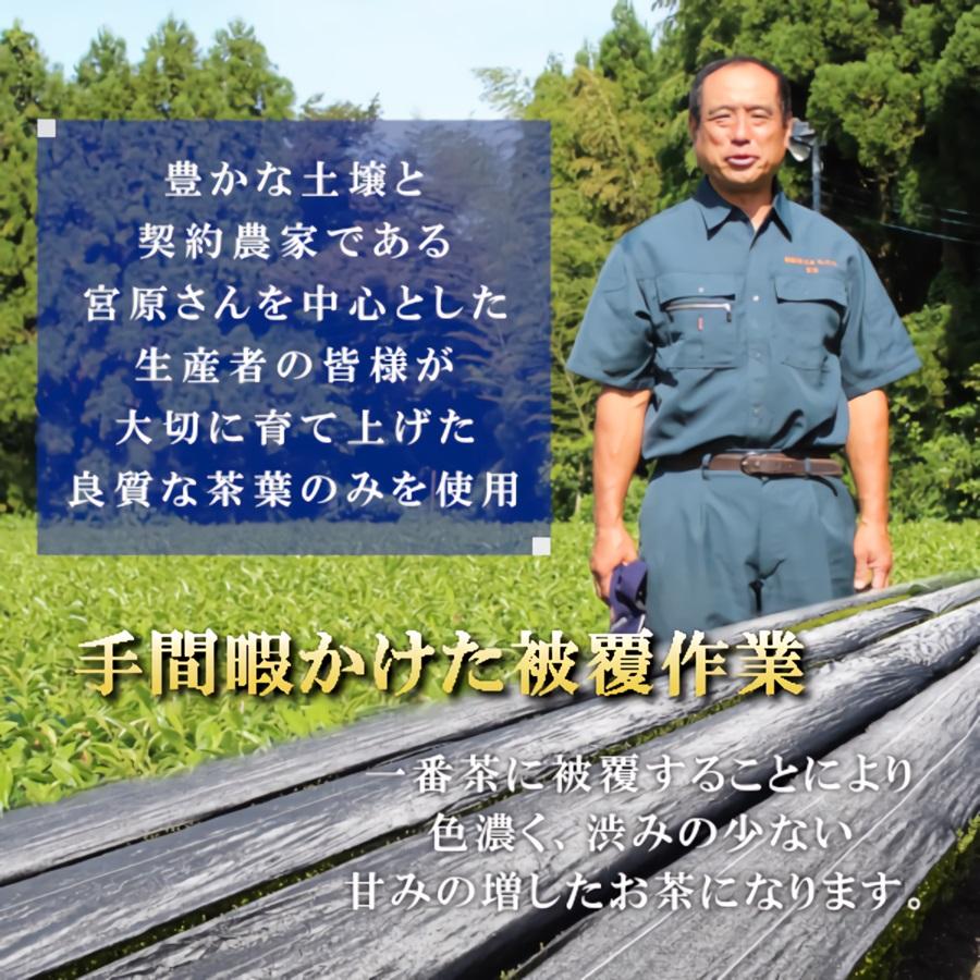 知覧茶 有機栽培茶 銀印 4