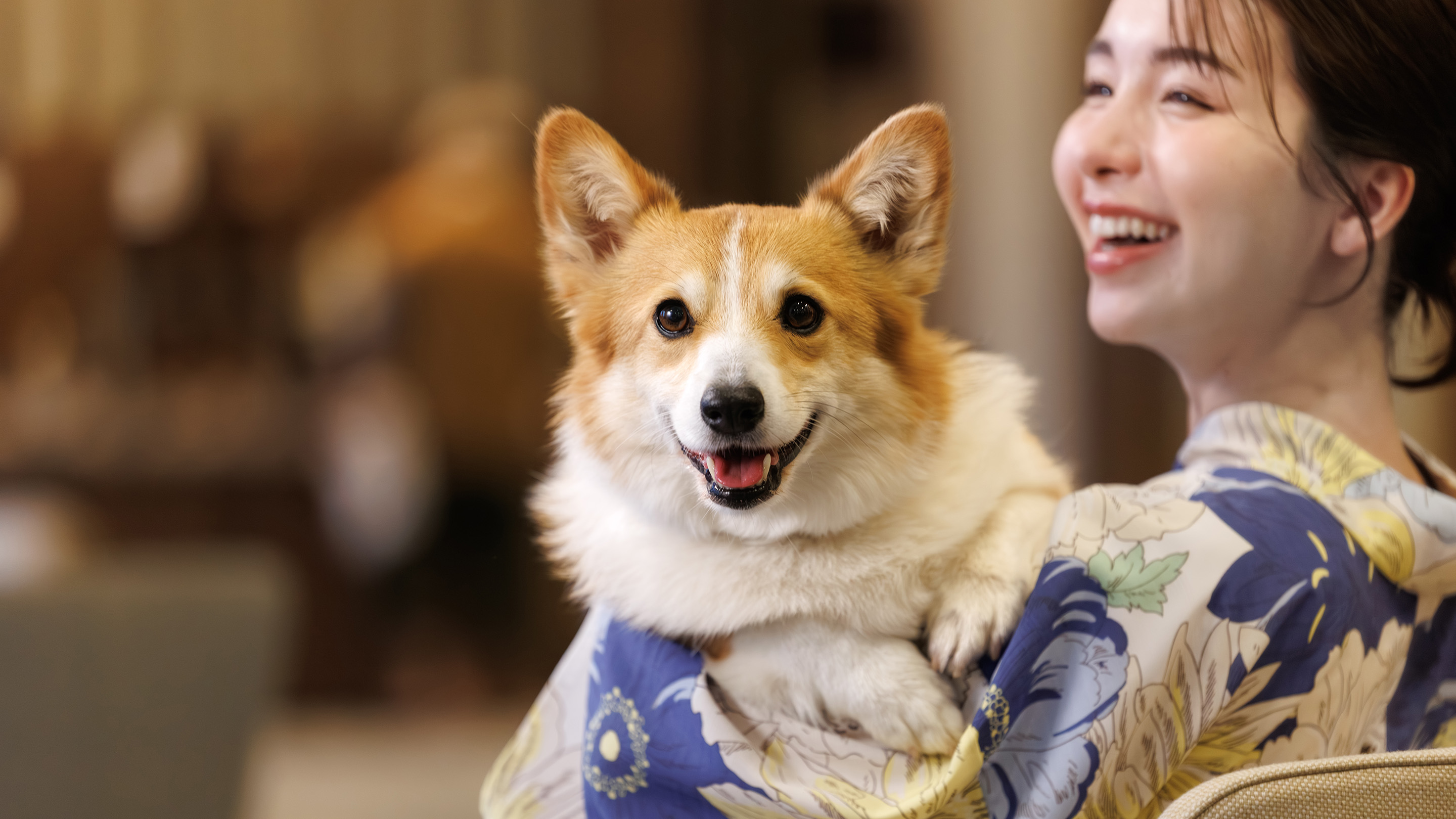 大江戸温泉物語わんわんリゾート 西伊豆 1