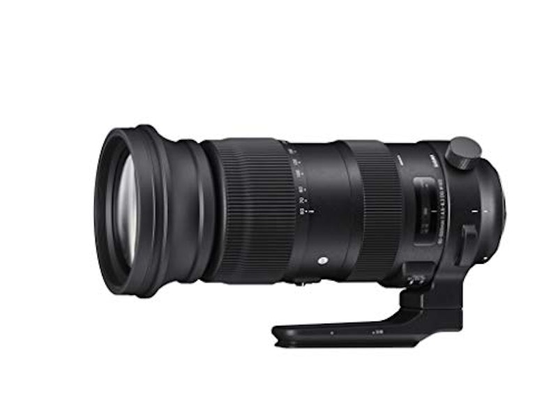 60-600mm F4.5-6.3 DG OS HSM Sports 3