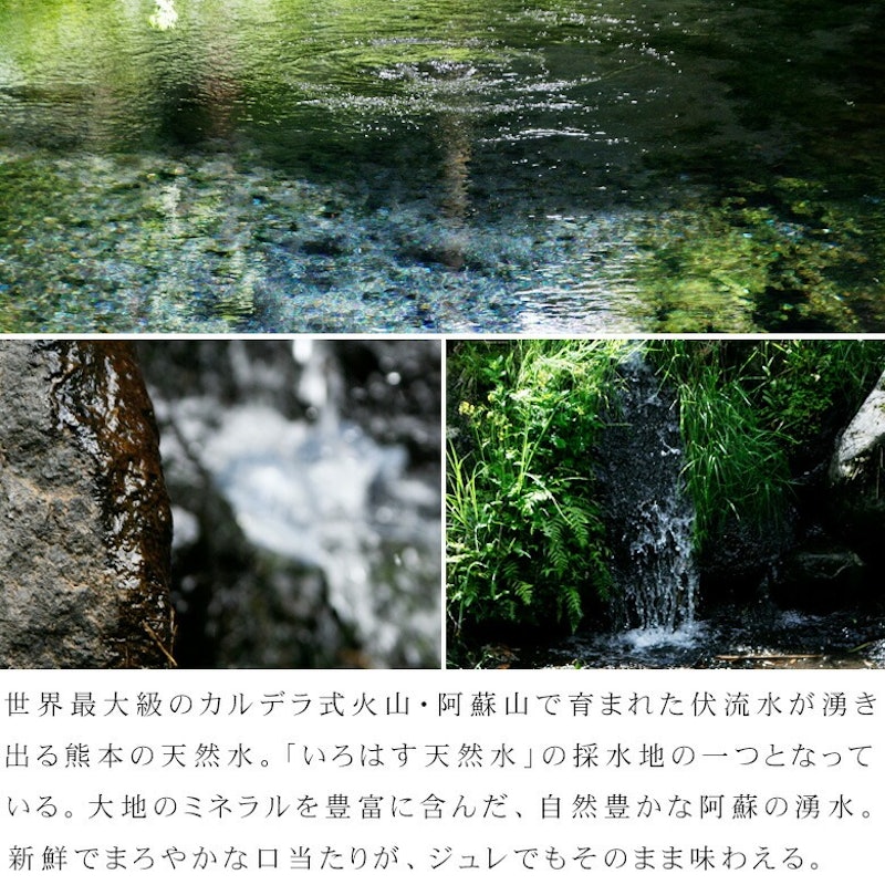 選べるフルーツジュレセット 5