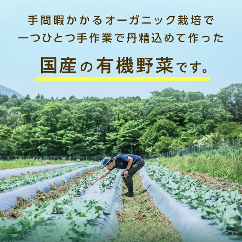 ブロッコリーライス 6