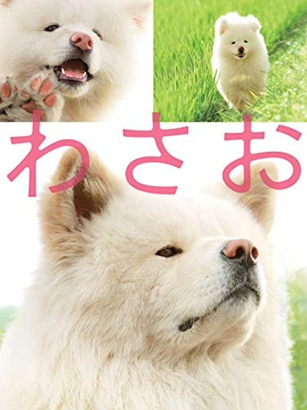 わさお 1
