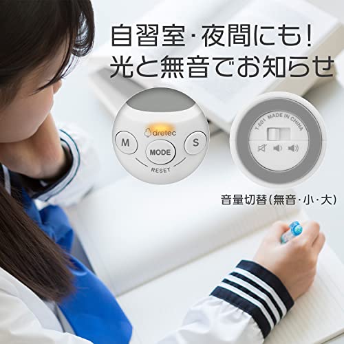 Study egg スタディエッグ 2