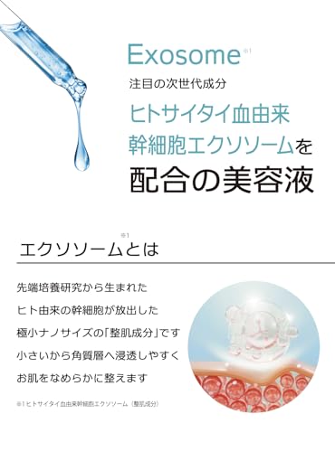 ファクトリーメイドセラム 2