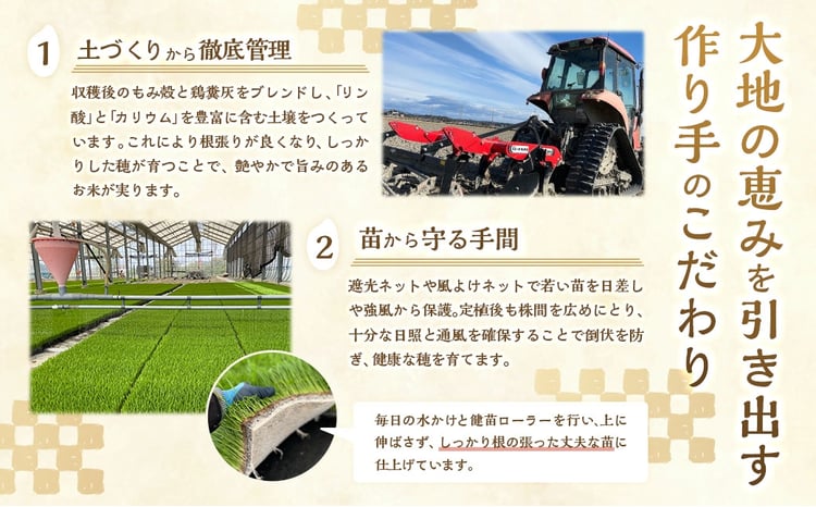 令和8年産 静岡県産 コシヒカリ 5kg 3