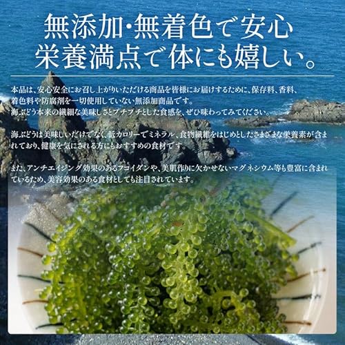海ぶどう 3