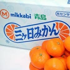 三ヶ日みかんのおすすめ人気ランキング【2026年6月】 3