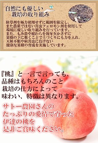 福島県産 伊達の桃 8