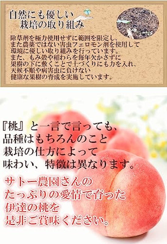 福島県産 伊達の桃 8
