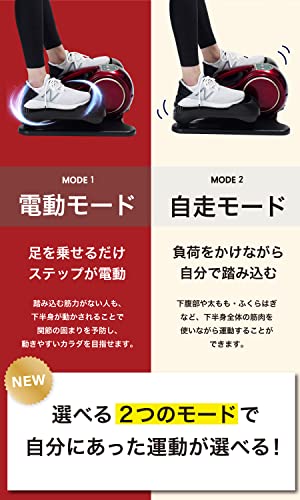 電動ラクこぎサイクル 3