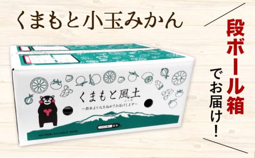 ひとくちもぎたてみかん 4