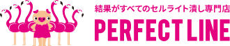セルライト潰し専門店 パーフェクトライン セルライトエステ 1