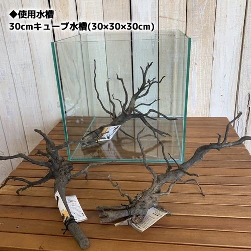k90特大流木 アク抜き済み 爬虫類シェルター レイアウト用 登り木