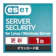 ESET Server Securityor Linux / Windows Server 1
