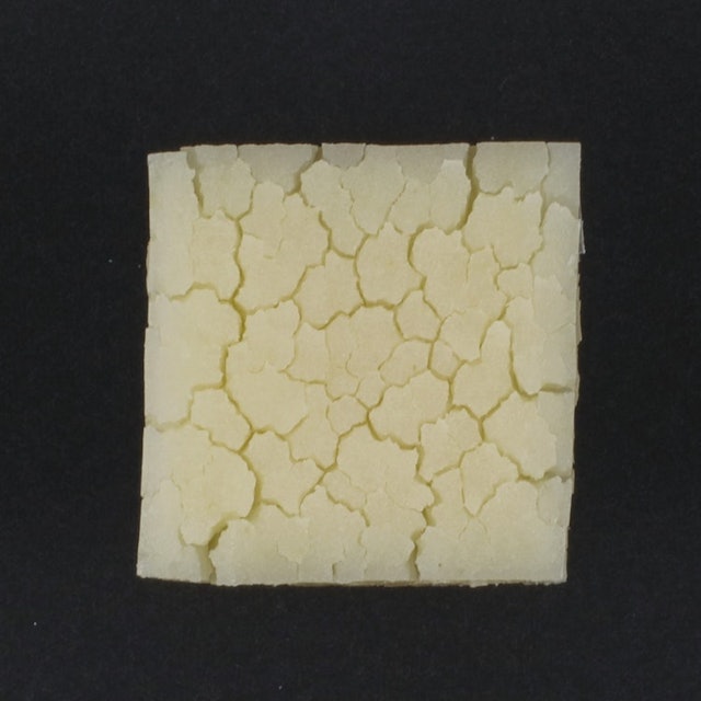 エルバビーバ ストレッチ マーク オイルを全6商品と比較 口コミや評判を実際に使ってレビューしました Mybest