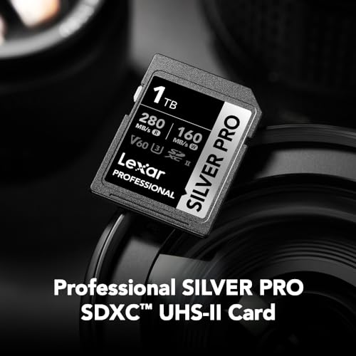 Professional SILVER PRO SDXC UHS-II Card 2