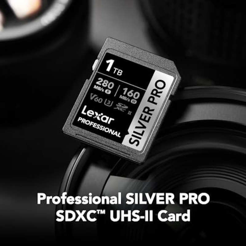 Professional SILVER PRO SDXC UHS-II Card 2