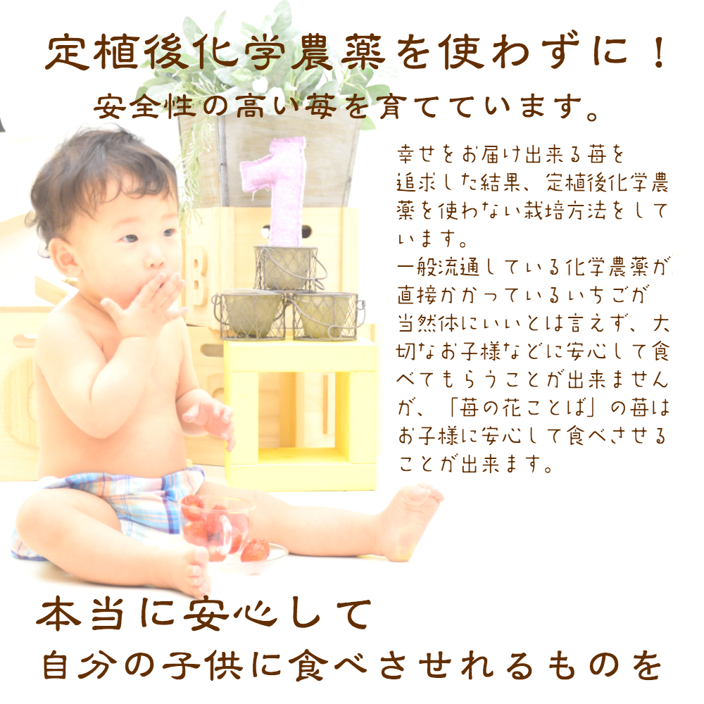 雪国完熟いちご越後姫桃薫食べ比べセット 13