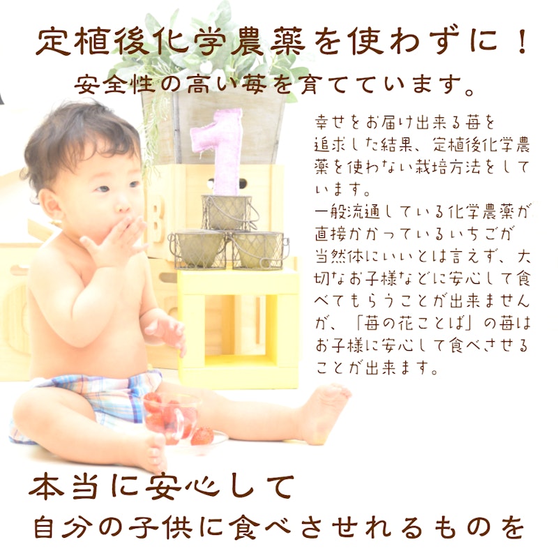 雪国完熟いちご越後姫桃薫食べ比べセット 13