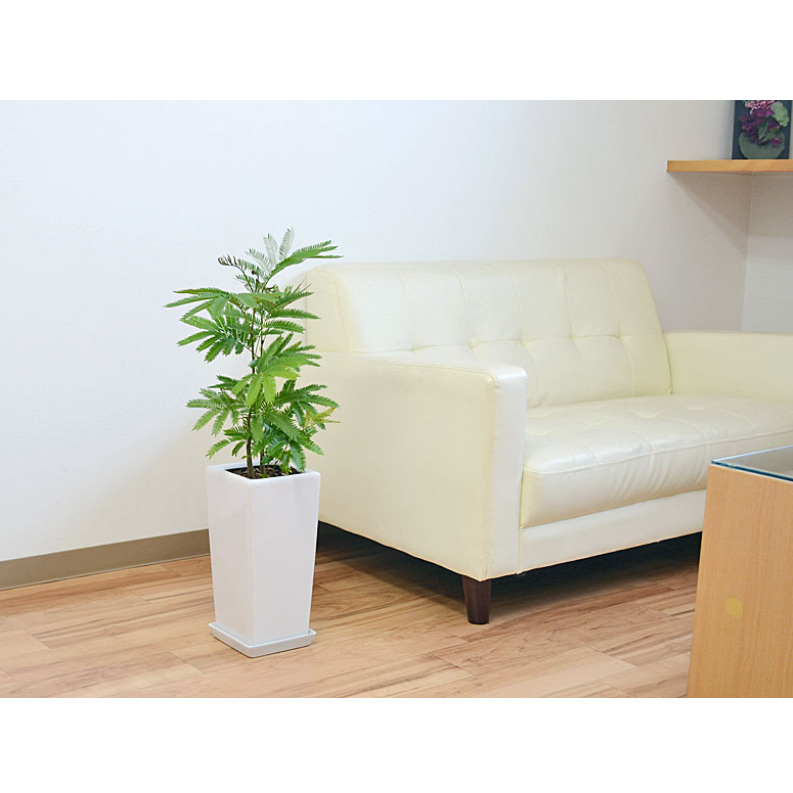 エバーフレッシュ スクエア陶器鉢植え 2