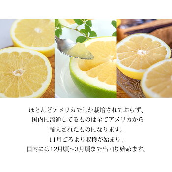 メロゴールド 6