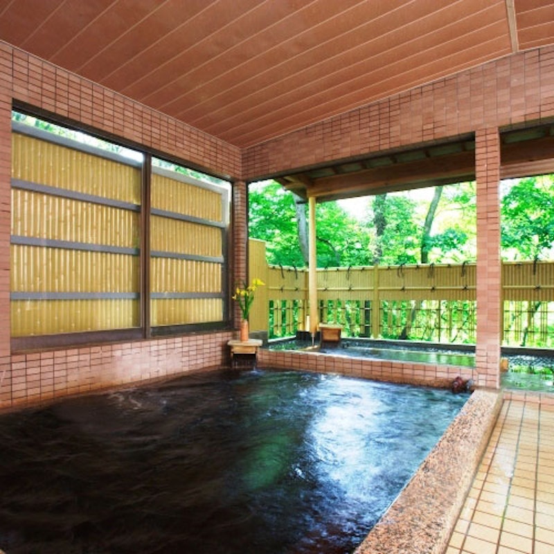 丸山鉱泉旅館 1