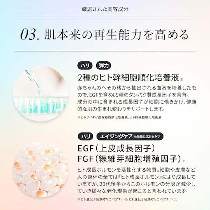 HARI スピキュール+ 6
