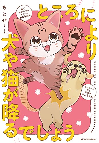 ところにより犬や猫が降るでしょう 1