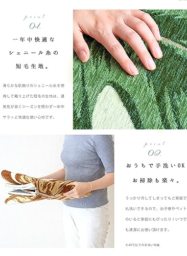 モンステラ 4