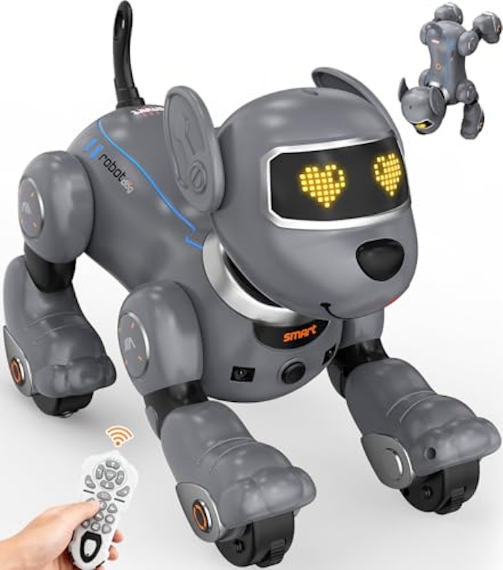 ロボット犬 1