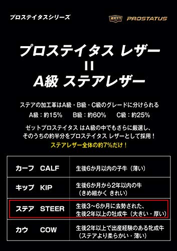 プロステイタス 硬式キャッチャーミット 8
