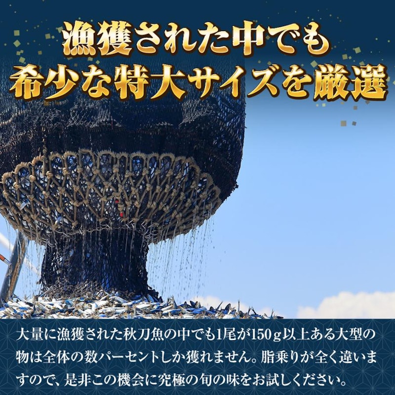 特大生冷凍さんま 5