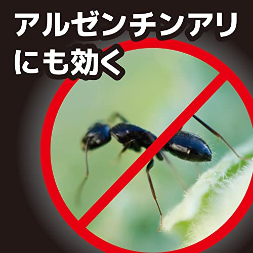 アリキンチョール 5