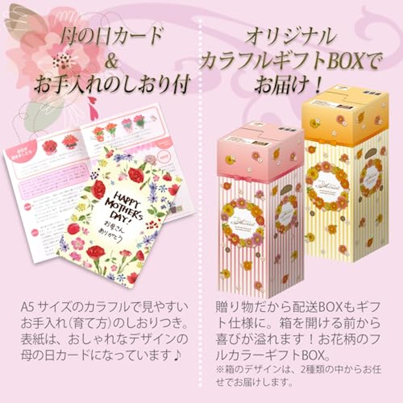 ピンクカーネーション&カステラ 4