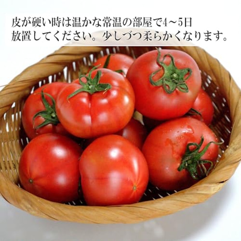 珊瑚樹トマト S特選 5