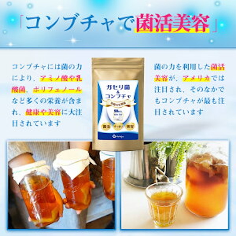 ガセリ菌&コンブチャ 6
