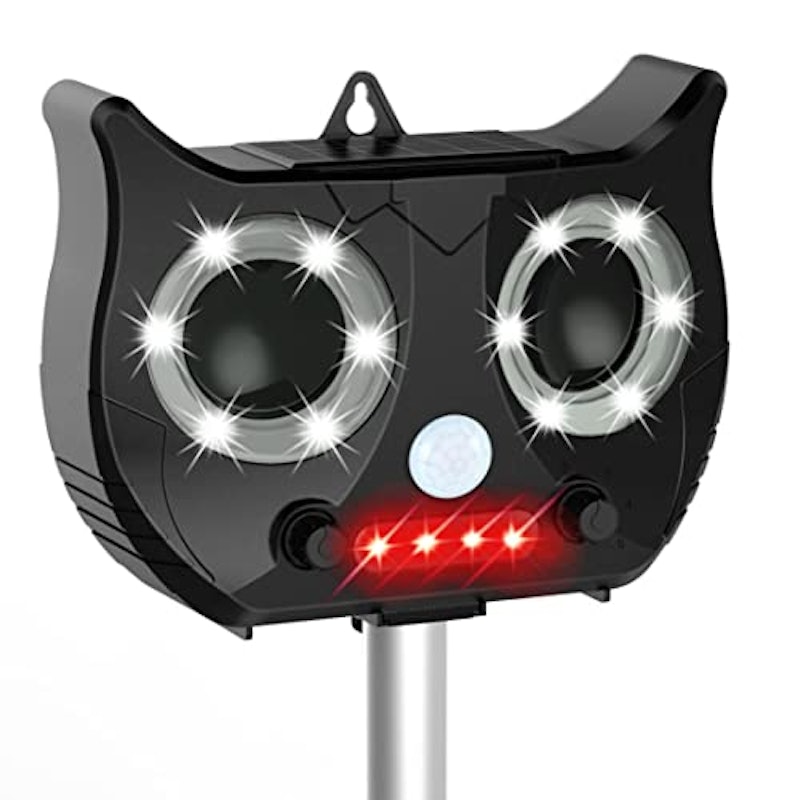 J9ta3gpi0fy1um J9ta3gpi0fy1um